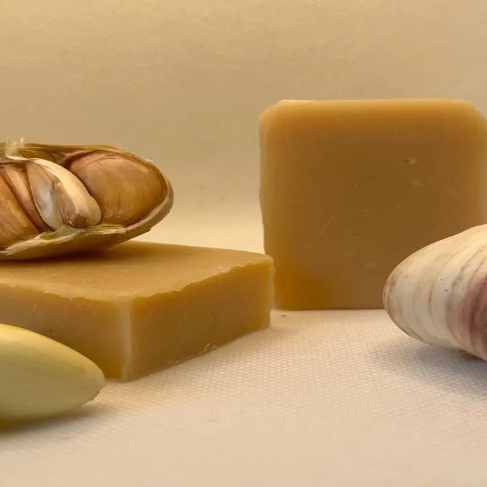 Garlic Magic: Unveiling the Wonders of MaiaMc's Hair-Revitalizing Soap - Aladdin