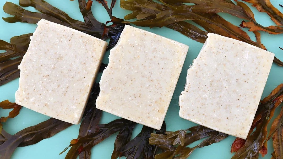 Can Natural Seaweed Soap Transform Your Skin? - Aladdin