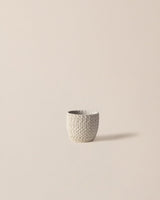 Cement Plant Pot - Modern Ecru Finish