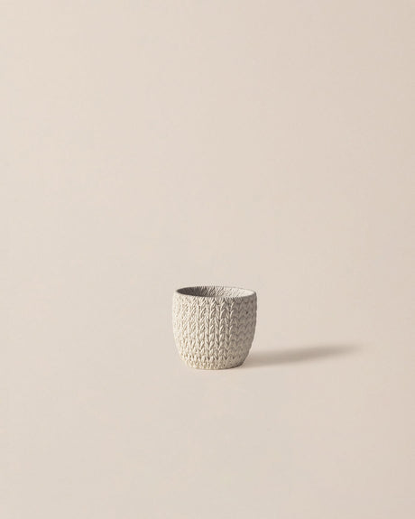 Cement Plant Pot - Modern Ecru Finish