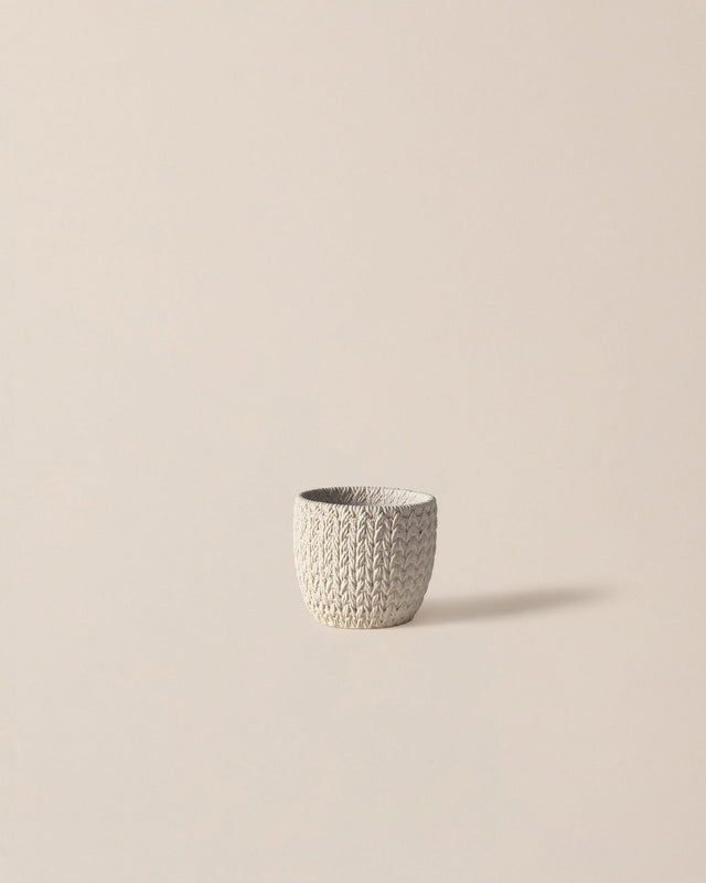 Cement Plant Pot - Modern Ecru Finish