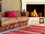 Oriental Cadre Area Rug - Terracotta Rust - 120x170 cm