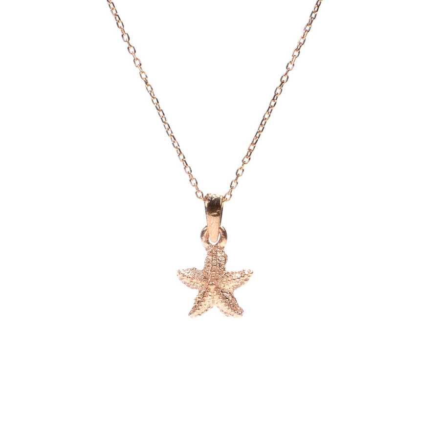 Collar con colgante pequeño de estrella de mar en plata de ley - Encanto delicado del océano