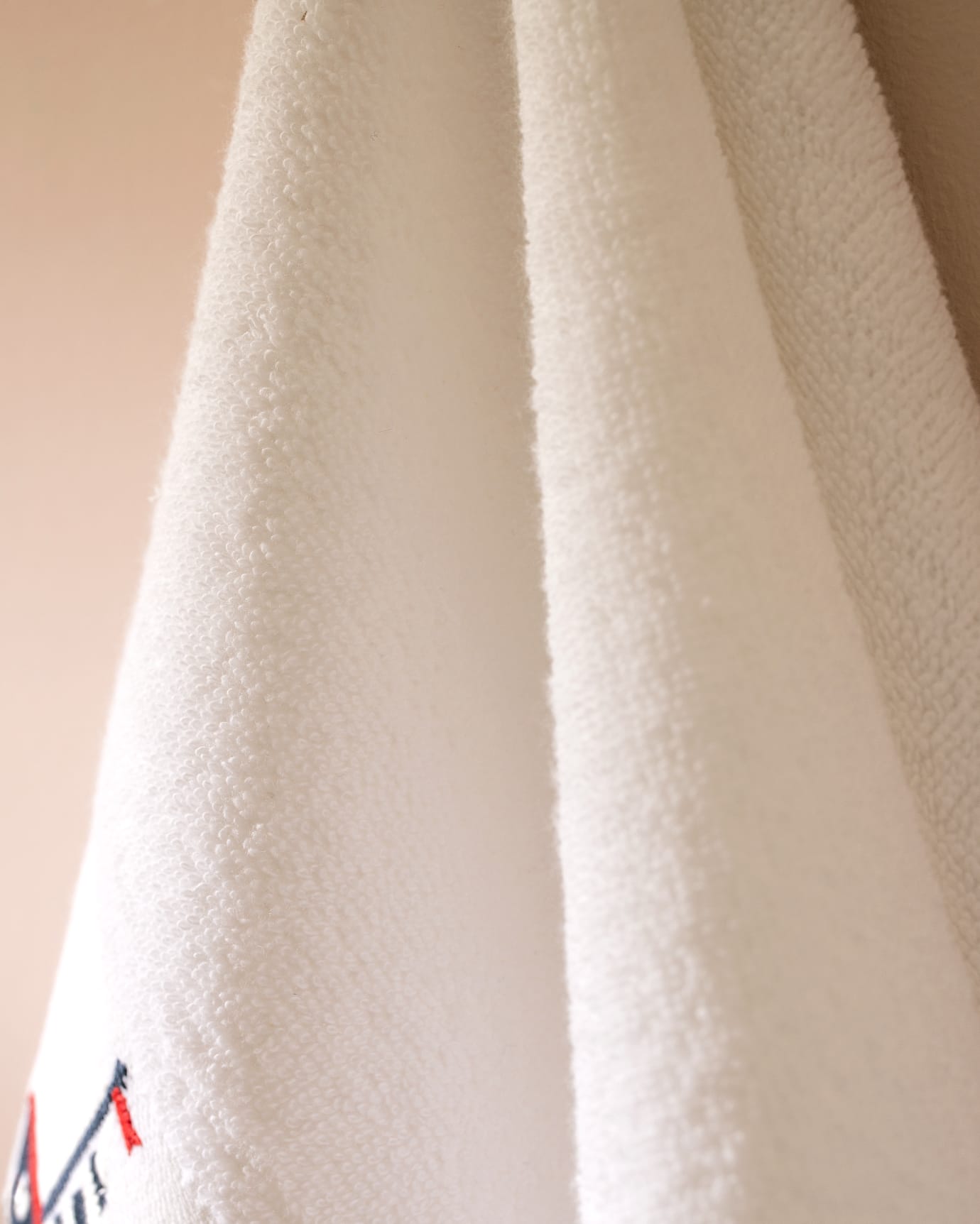 Soft Embroidered 100% Cotton Hand Towel Set - 2 Pack