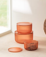 3-Piece Food Storage Container Set - 4000ml Capacity