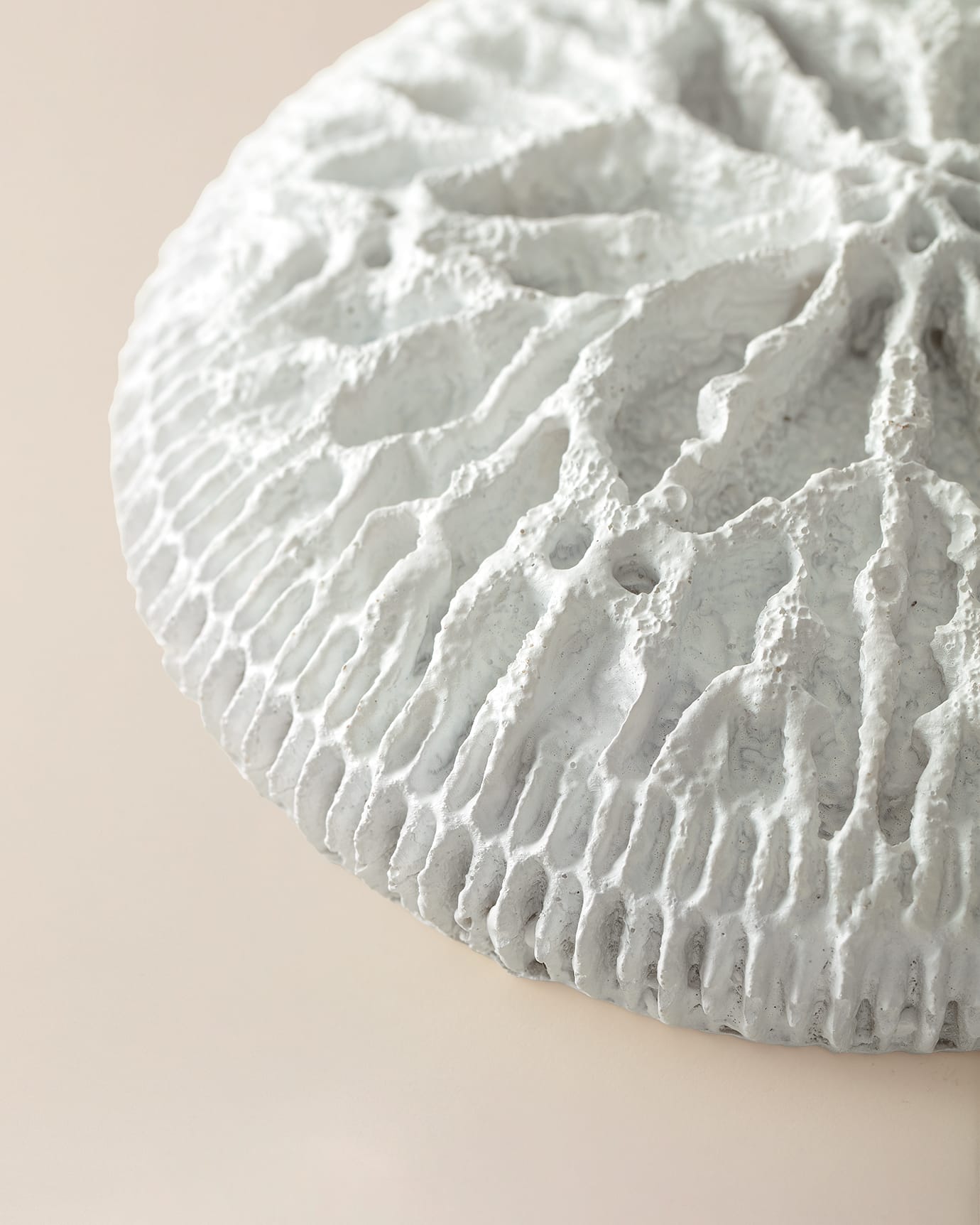 Seanna Decorative Wall Art Ornament - Modern Home Decor Accent