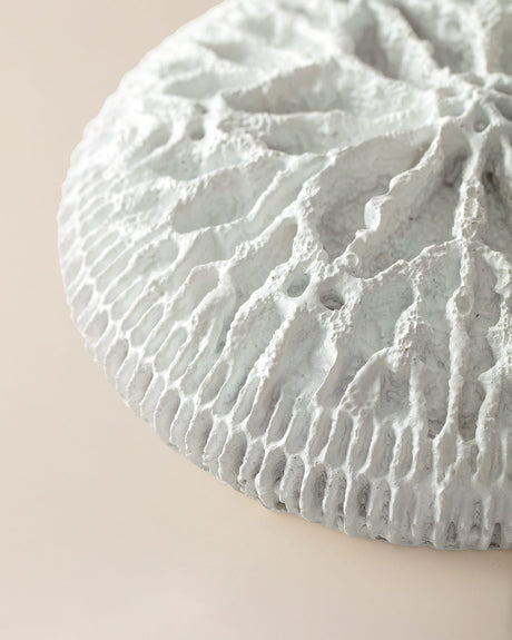 Seanna Decorative Wall Art Ornament - Modern Home Decor Accent