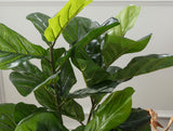 Joncher Faux Potted Plant - Realistic Home Decor Greenery