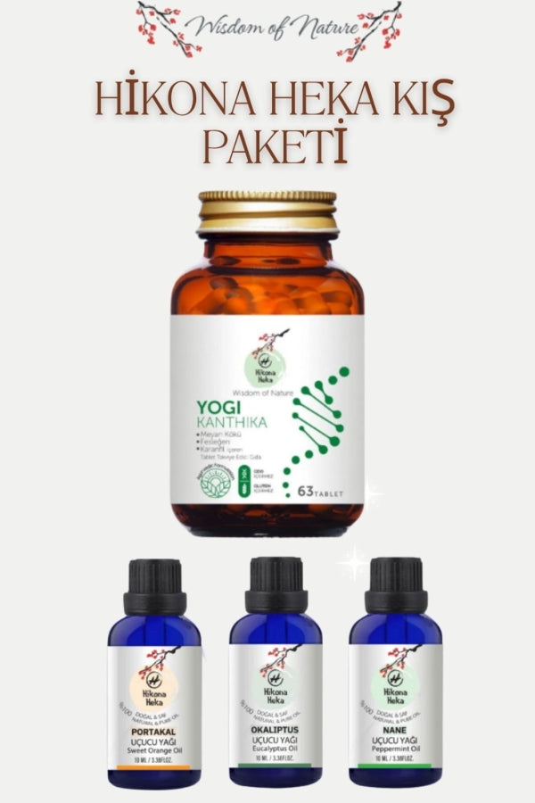 Winter Comfort Essentials Package