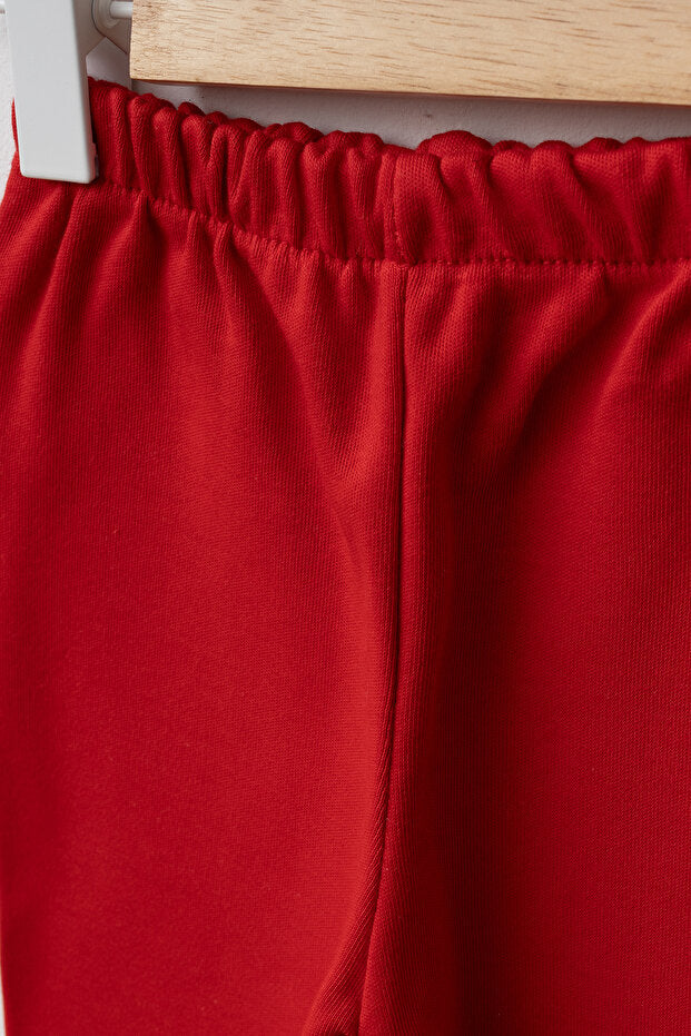 Ensemble bébé 2 pièces : haut molletonné à motif floral en relief et pantalon - 6-9 mois
