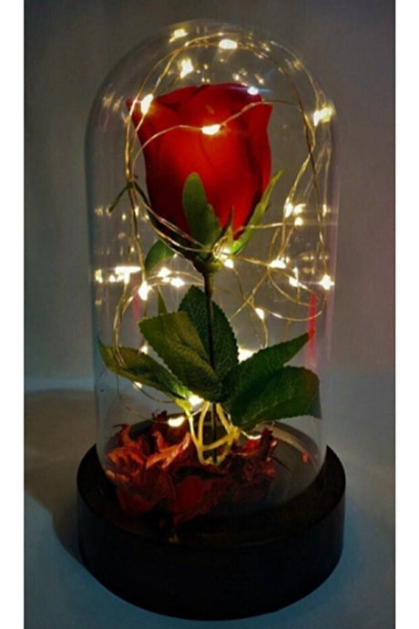 Everlasting Red Rose in Glass Dome with LED Lights - 21x10.5 cm
