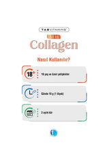Tutto in Polvere di Collagene - Multi-Tipo (I, II, III, V, X) - 30 Porzioni