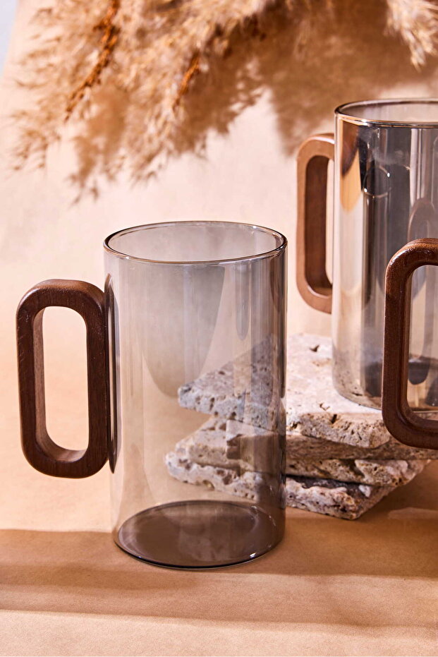 Siena 350ml Smoked Glass Mugs with Acacia Wood Handles - Set of 6