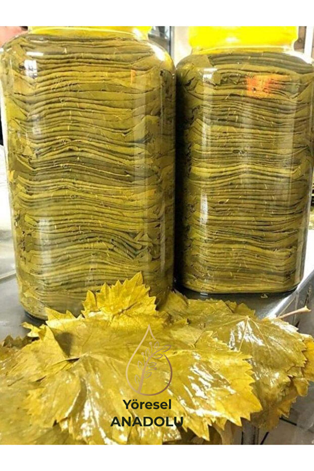 Tokat Seedless Grape Leaves in Brine - 5 KG Jar