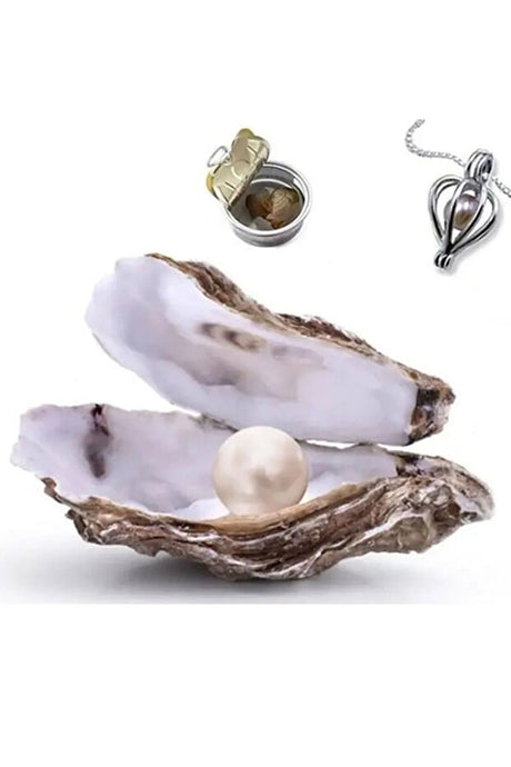 Cultured Pearl in Oyster with Heart Locket Necklace Kit
