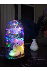 Enchanted LED Galaxy Rose & Teddy Bear Glass Dome Gift