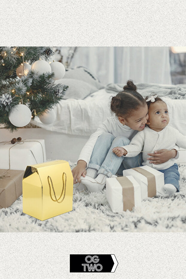 Portable Gold Gift Box & Bag - Special Design 24x14x20cm