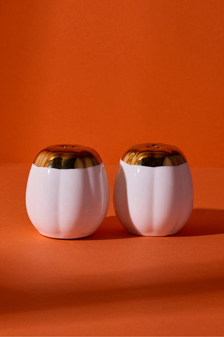Elegant Pumpkin Porcelain Salt & Pepper Shaker Set - 2 Pieces