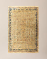 Leoville Decorative Indoor Area Rug