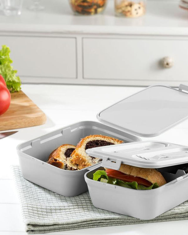 Rectangular Portable Lunch Box - Reusable Food Container