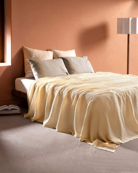 Fine Porcelain Single Tea Cup & Saucer - Luxury Gold-Rimmed Design