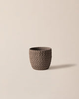 Cement Planter - Dolly Collection Minimalist Design