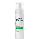 2% Salicylic Acid Face Foam Cleanser for Pore & Sebum Control - TryAladdin