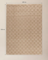 Silky Soft Embossed Area Rug - Mink Brown