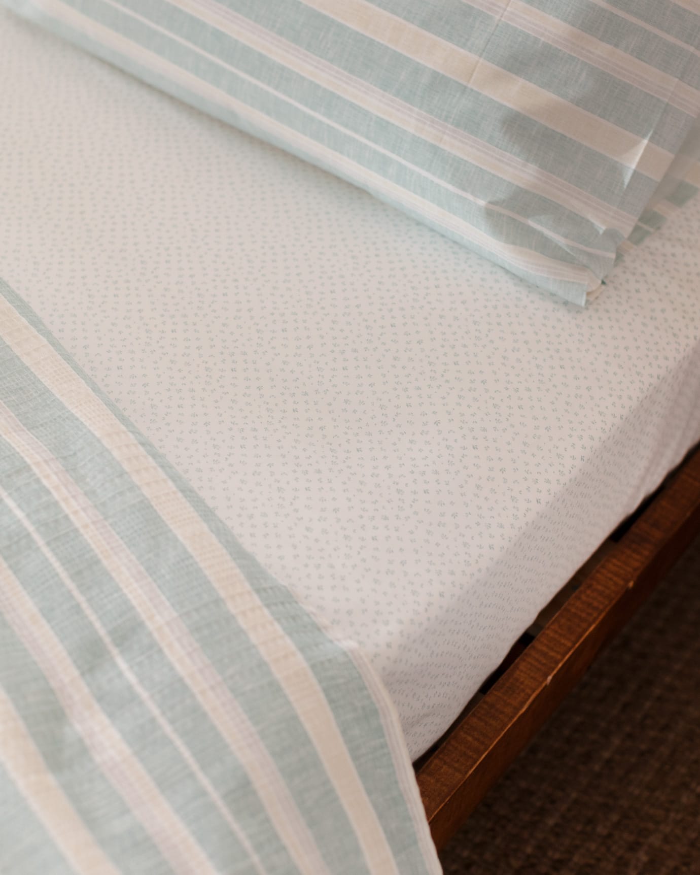 Cotton-Lyocell Single Piqué Set - Printed Ecocell Design