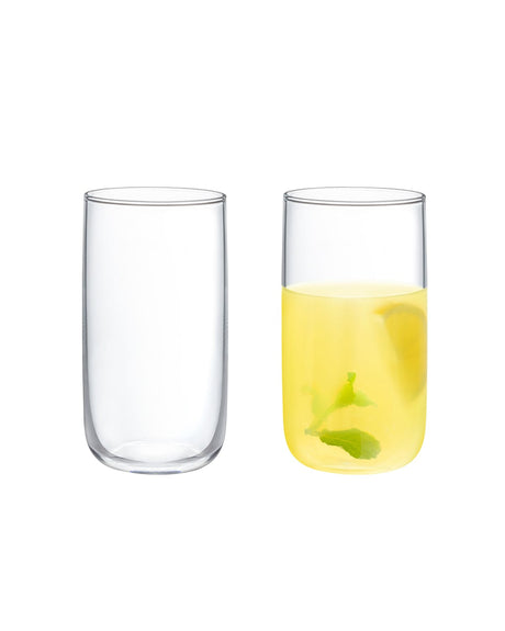 Clear Glass 4-Piece Drinking Glass Set - Musette Collection