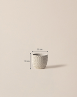 Cement Plant Pot - Modern Ecru Finish