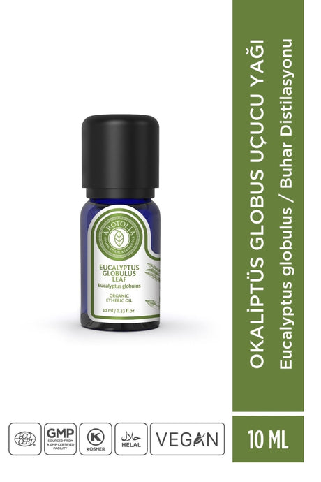 Pure Eucalyptus Globulus Essential Oil