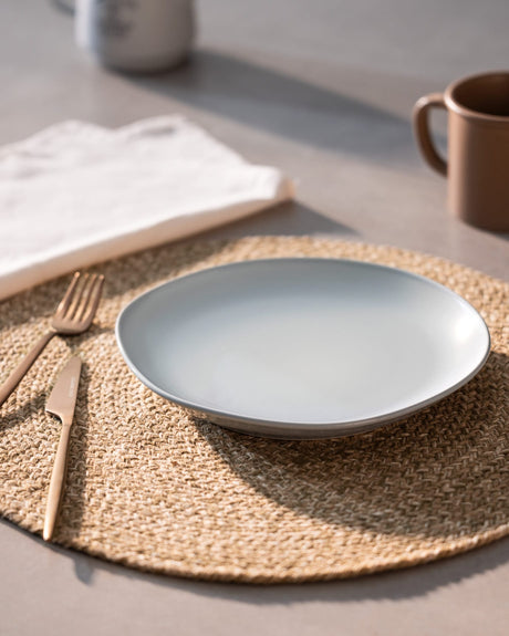 Durable Porcelain Pasta Plate - Contemporary Souci Design for Dining
