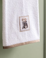 Elroy 100% Cotton Soft & Absorbent Face Towel