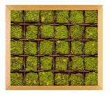 Premium Vegan Pistachio Dusted Turkish Delight Gift Box