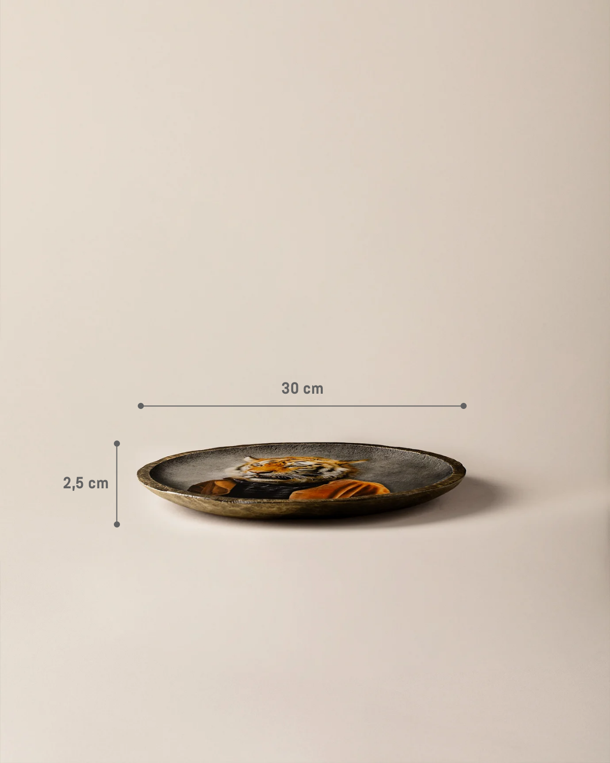 Louis Decorative Accent Plate - Brown Home Decor Dish