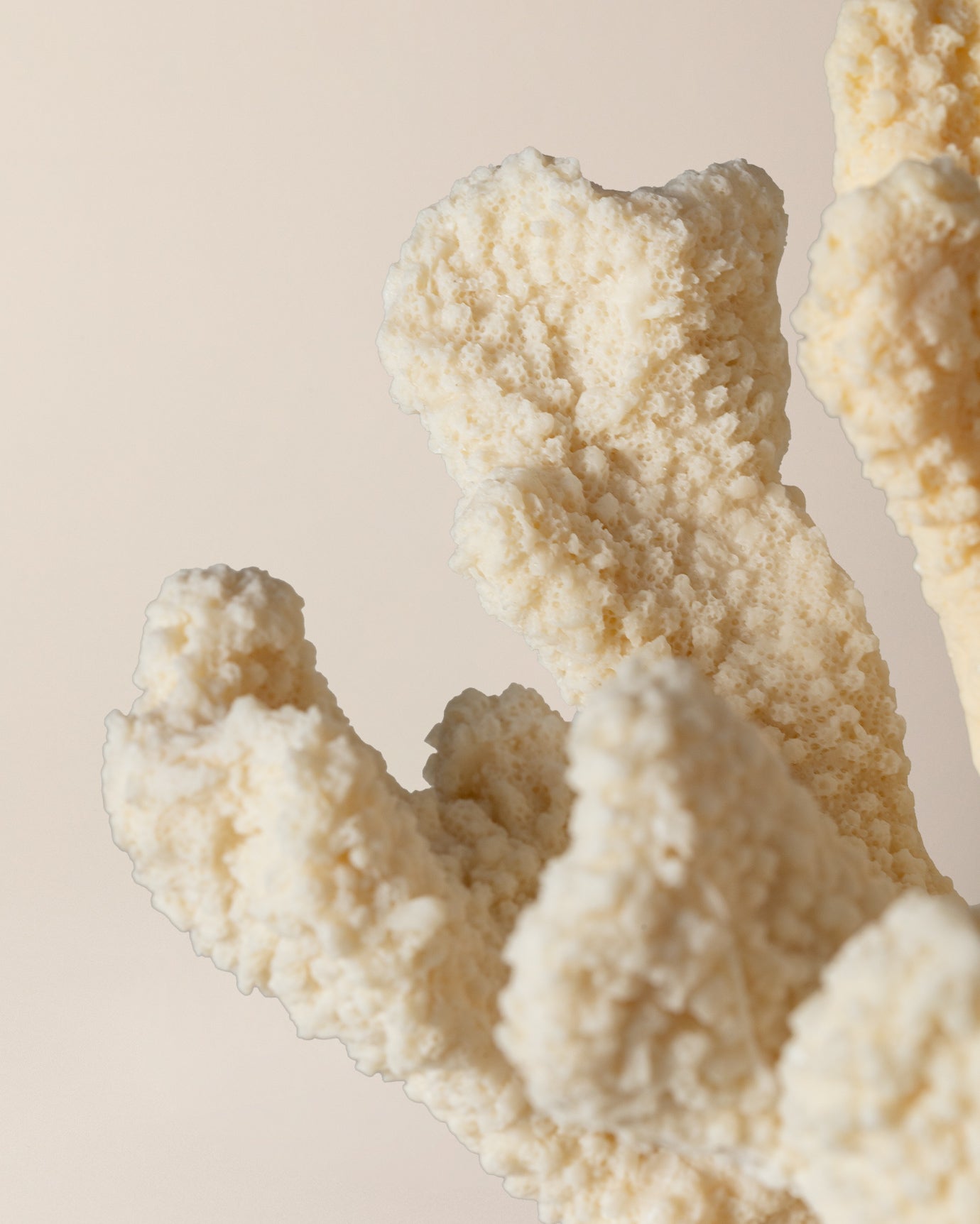 Resin Decorative Figurine - Elegant Cream Sculpted Accent
