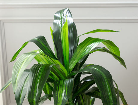 Algue Faux Potted Plant - Realistic Indoor Greenery Decor