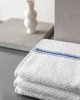 Sidonie 4-Pack Cotton Hand Towel Set
