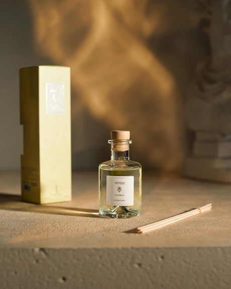 Elegant Glass Reed Diffuser - Mimosa Scented Home Fragrance