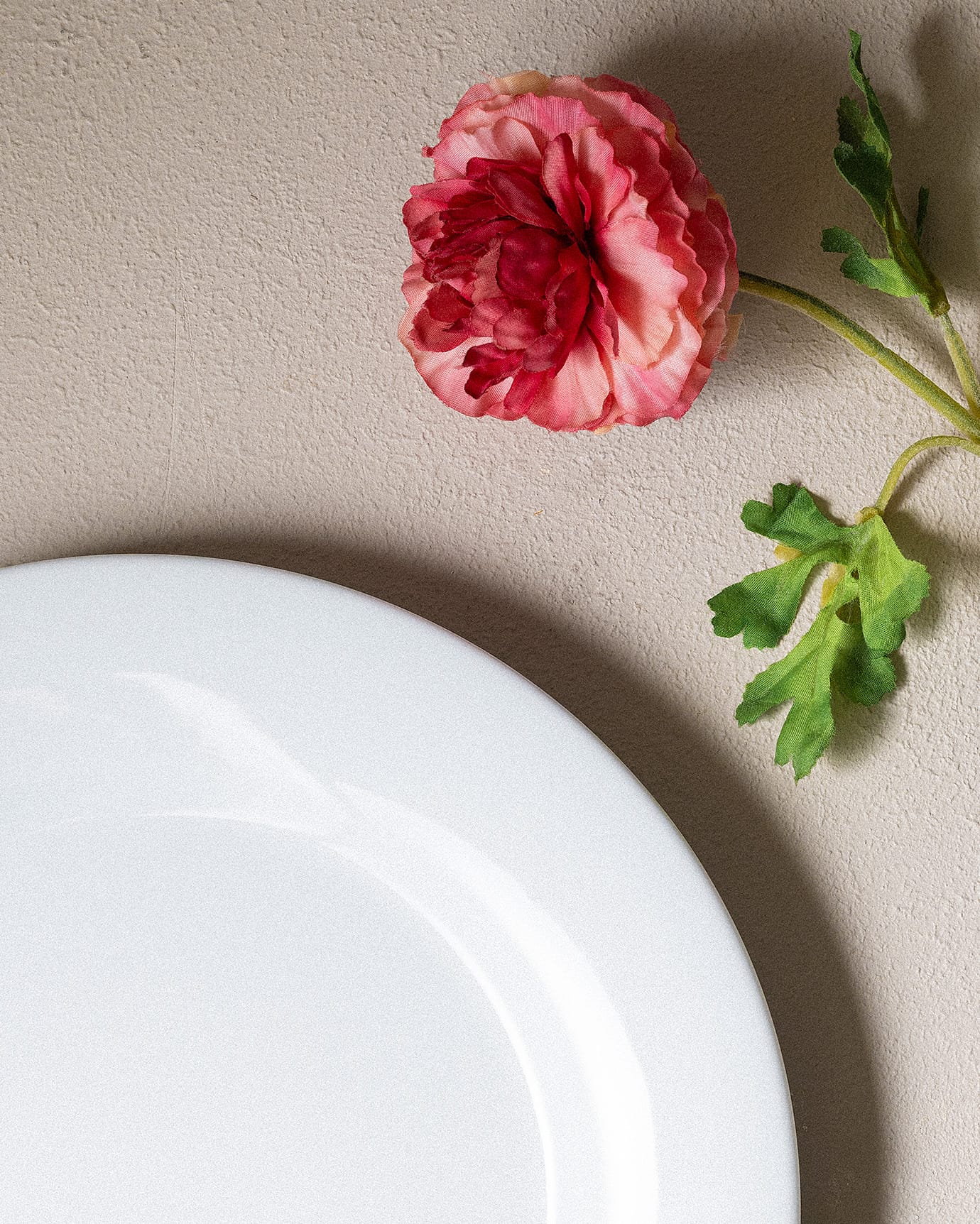 Clara Colorful Porcelain Dinner Plate, 25 cm