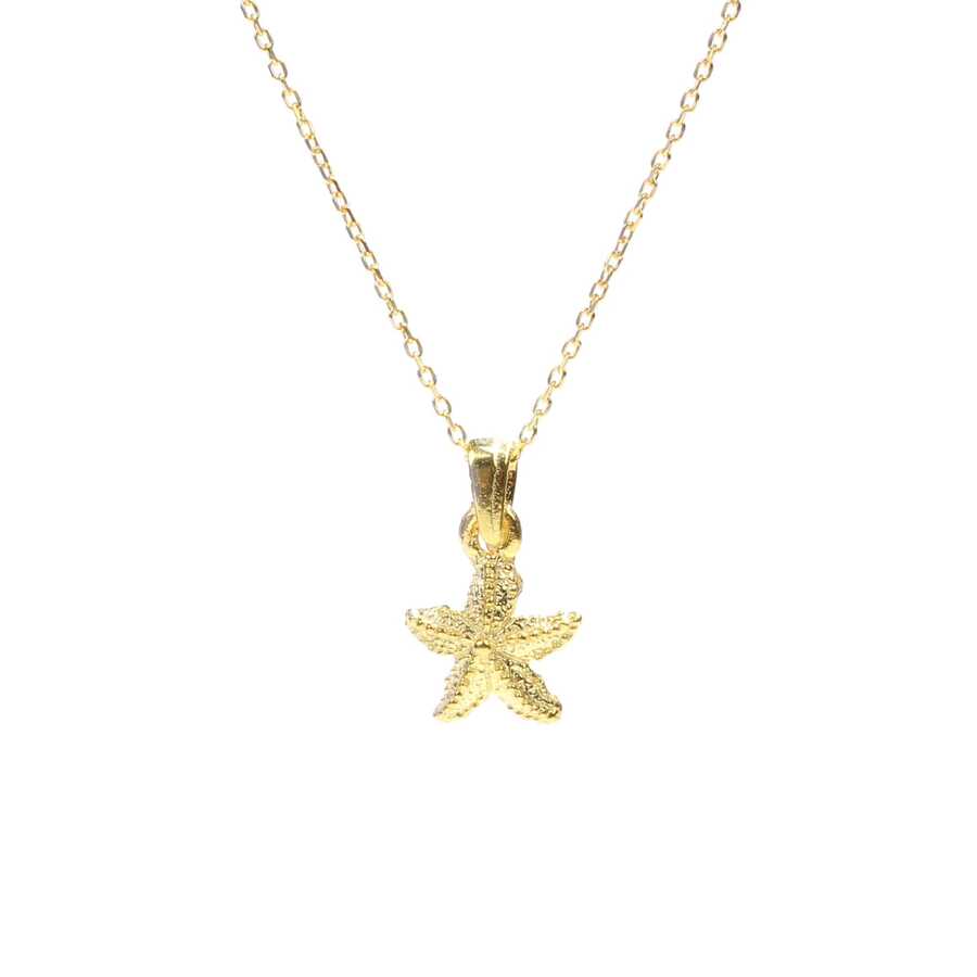 Collar con colgante pequeño de estrella de mar en plata de ley - Encanto delicado del océano