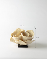 Resin Decorative Figurine - Elegant Cream Margot Accent