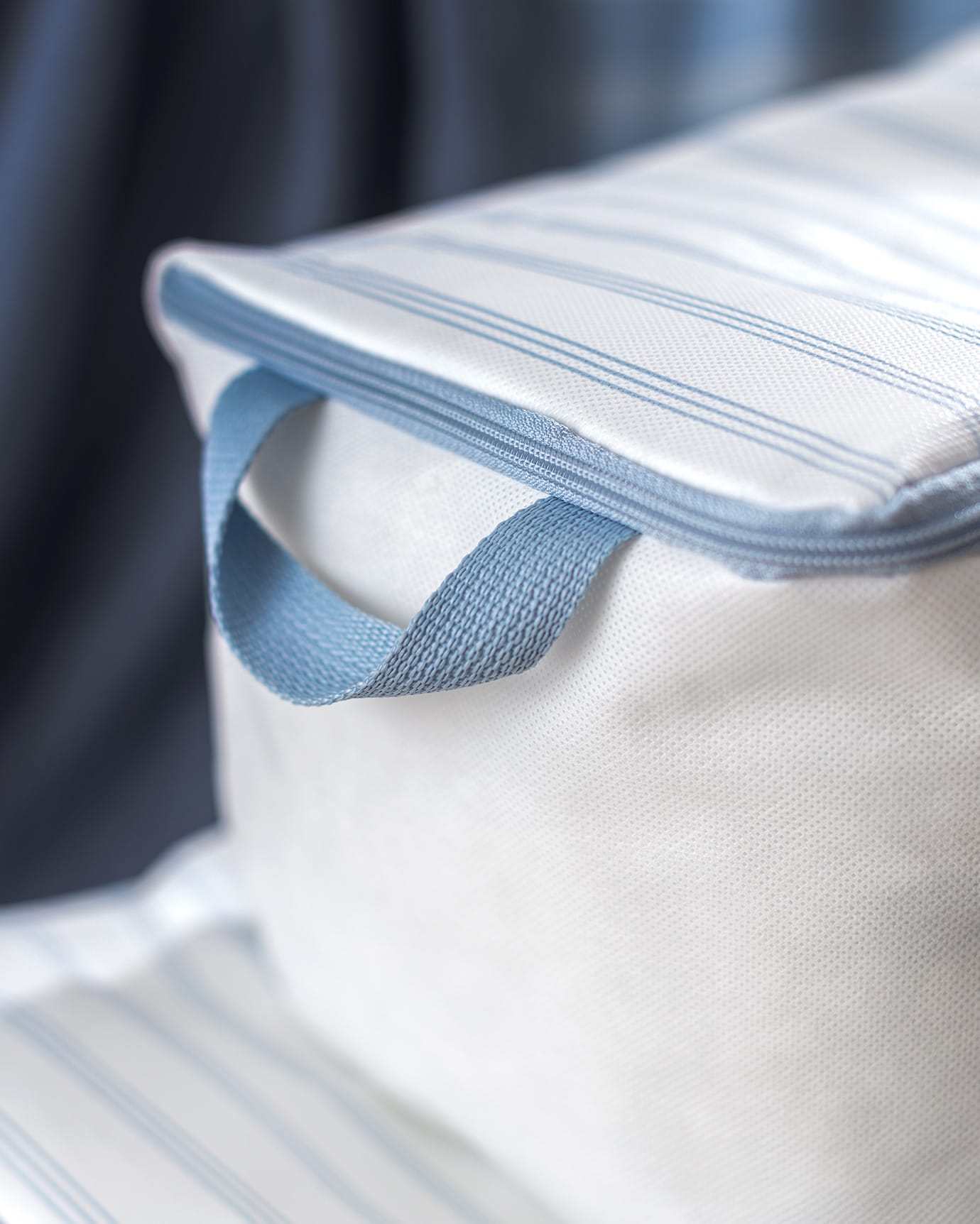 Set of 2 Cloud Print Storage Bags - Closet Organizers, White and Light Blue