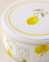 Large Round Metal Storage Box