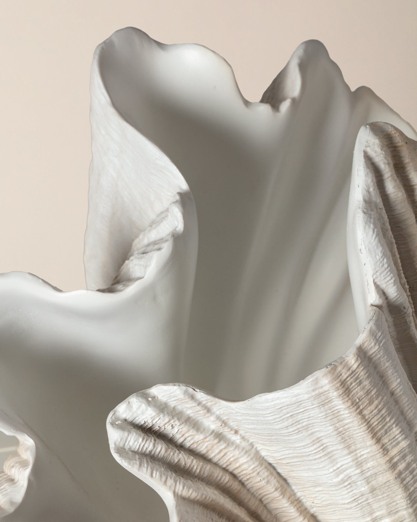 Maris Decorative Vase - Elegant Home Decor Accent