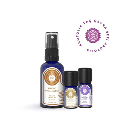 Crown Chakra Healing Stone Set