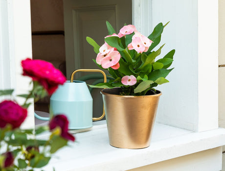 Elegant Gilded Decorative Plant Pot - 1.5 Liter Indoor Planter