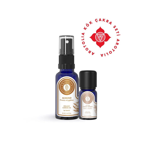 Root Chakra Healing Crystal Set for Grounding & Balance