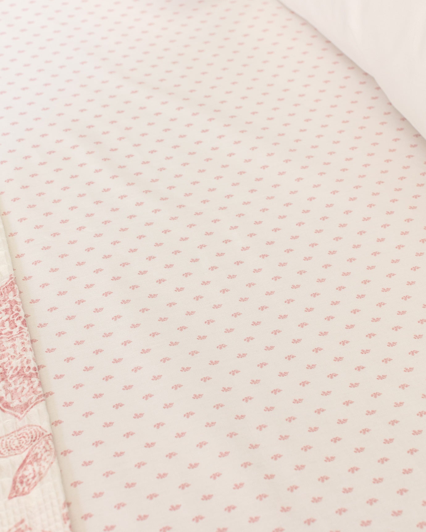 Cotton Lyocell Double Pike Set - Soft Ecocell Print